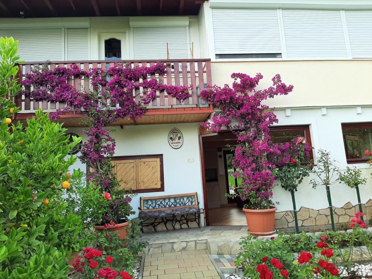 Rozsakert Vendeghaz Bed & Breakfast Szigliget Ngoại thất bức ảnh