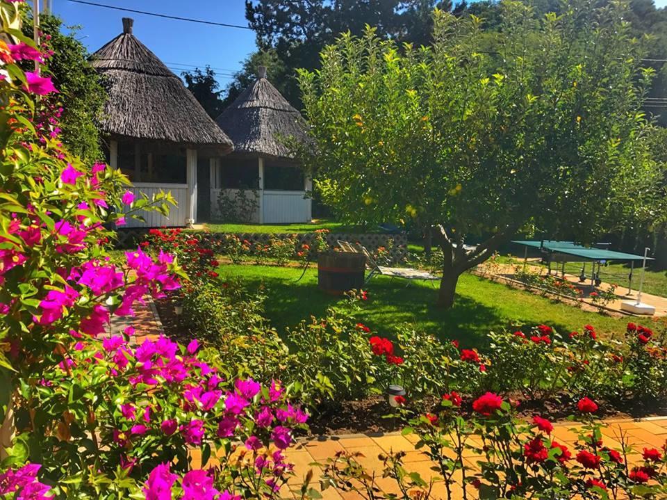 Rozsakert Vendeghaz Bed & Breakfast Szigliget Ngoại thất bức ảnh